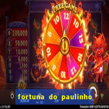 fortuna do paulinho do roupa nova